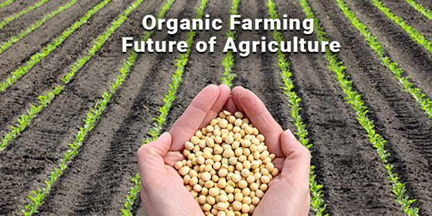 ethos organic farming